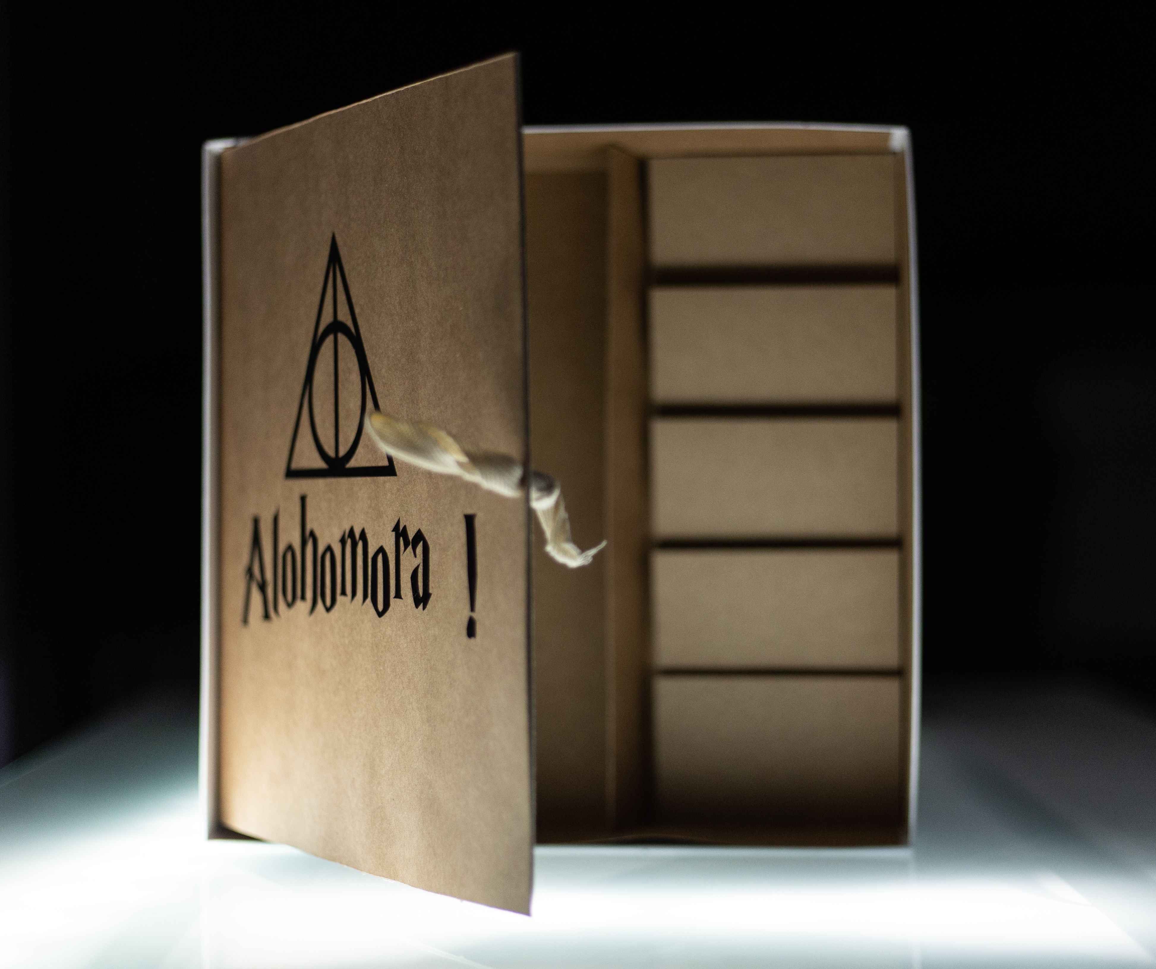 Intérieur de la boîte vide du Monopoly Harry Potter