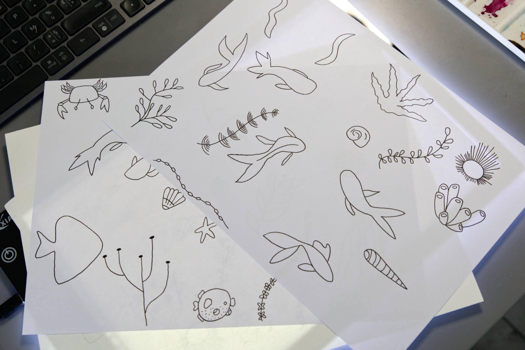 Croquis des motifs associés au thème "Fonds marins"